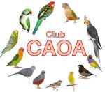 Club-CAOA